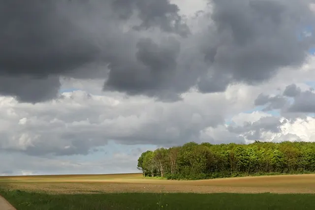 De Beemden