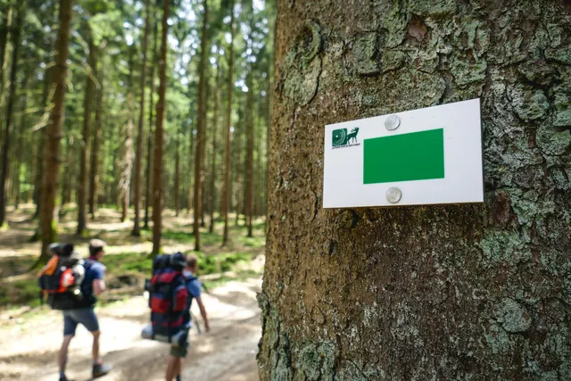 Aire de bivouac du Biolin
