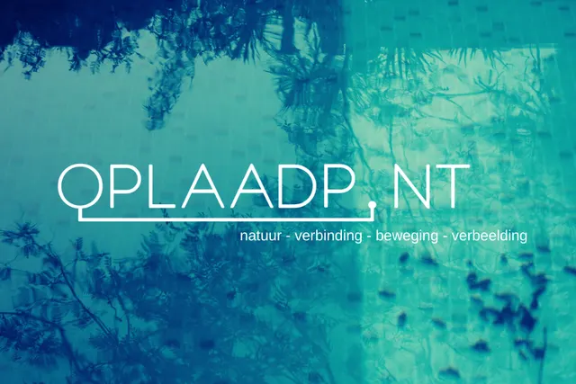 Oplaadpnt
