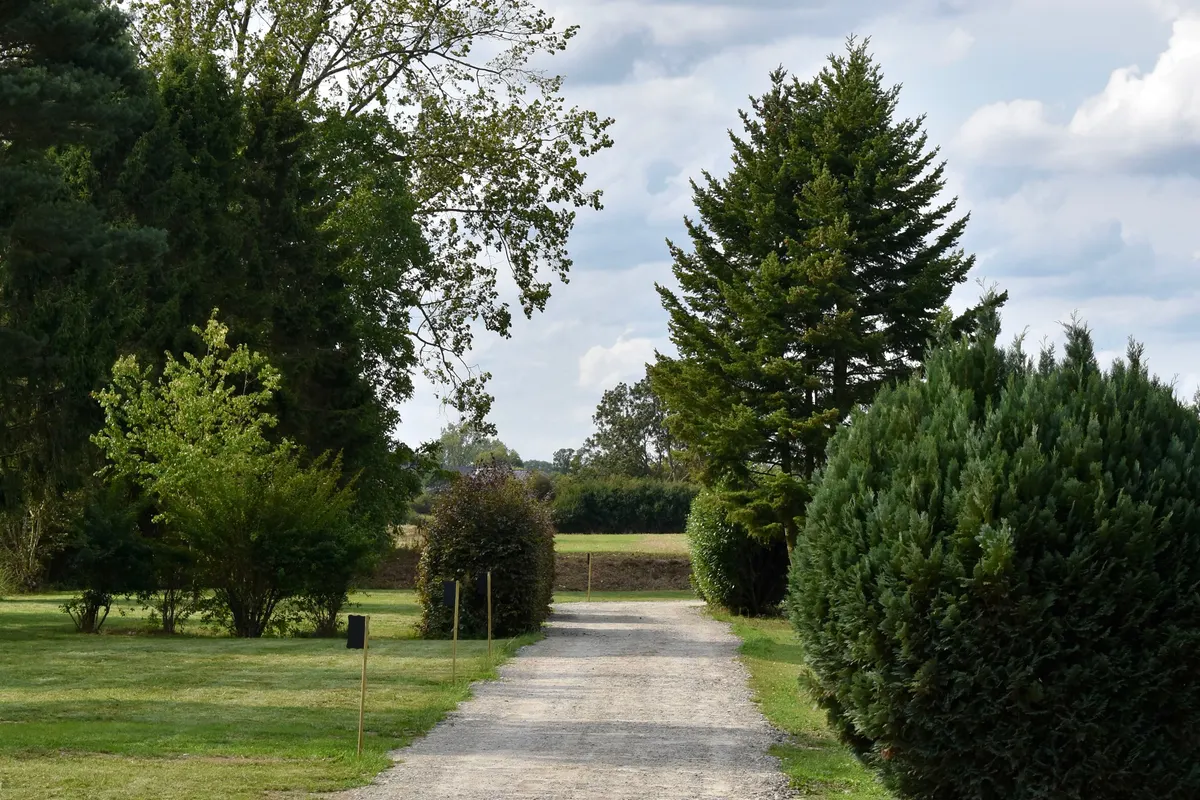 Die schönsten Campingplätze in Nedersaksen — mit Naturresort Weserinsel im Fokus