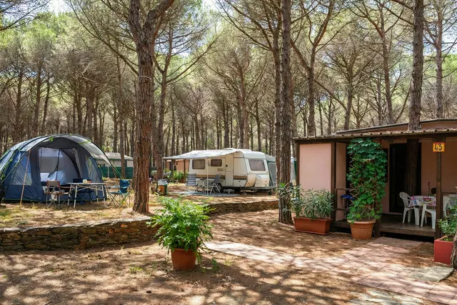 La Mandragola