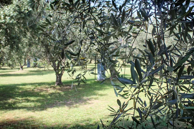 Agricamping Monterontondo