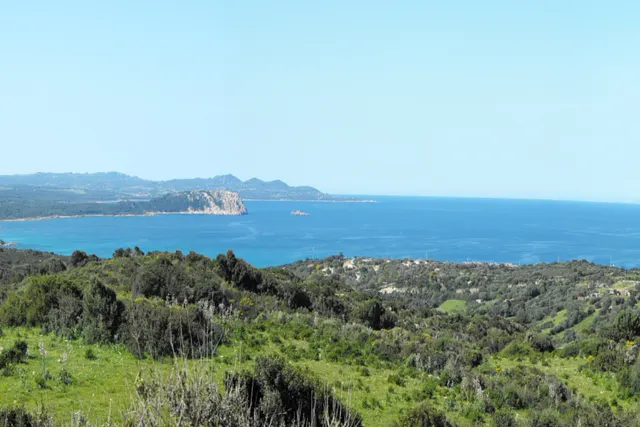 Die schönsten Campingplätze in Olbia-Tempio — mit Agricamping Petra di Cossu im Fokus