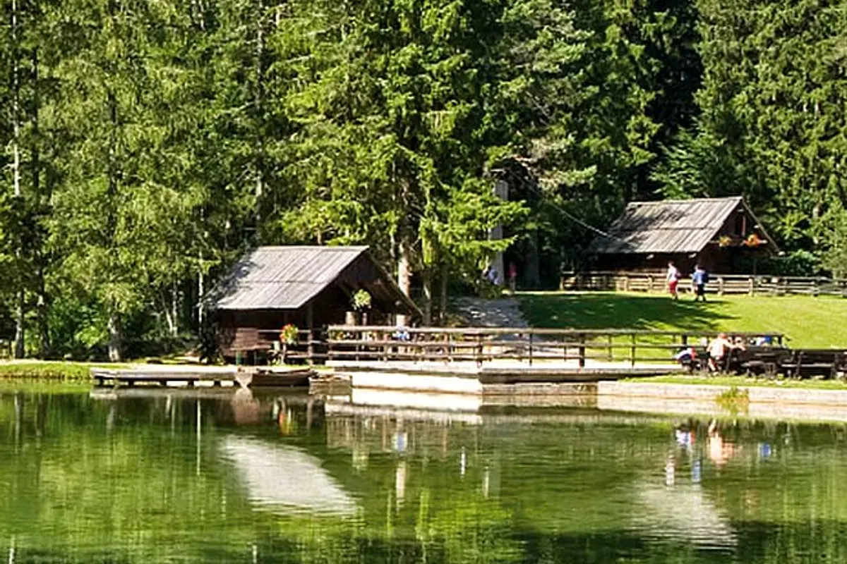 Mountain Camping & Glamping