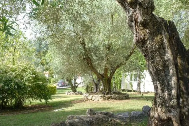 Village Flaminio