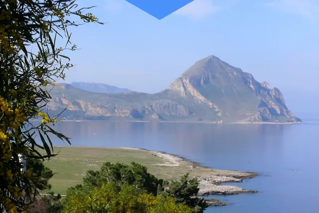 La Pineta