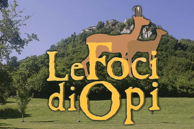 Camping Le Foci