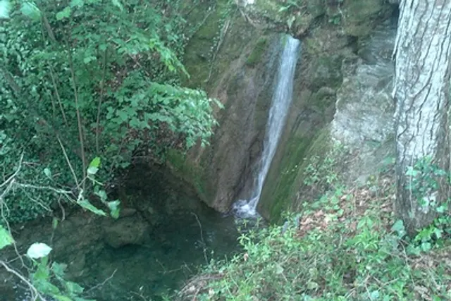 Agricampeggio Le Sorbe