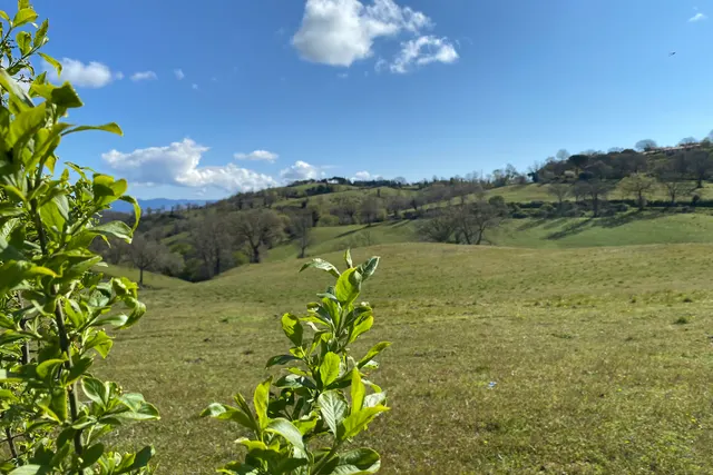 Agricampeggio Gli Olmi