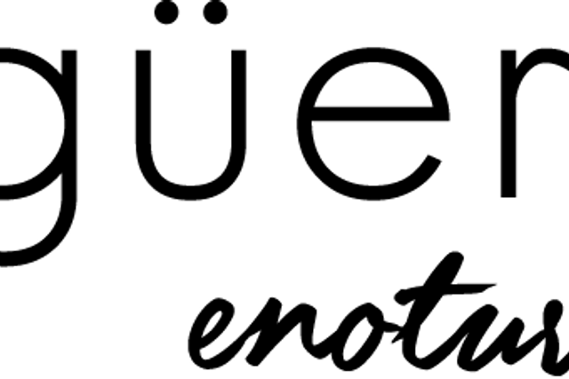 Meson de Ligüerre