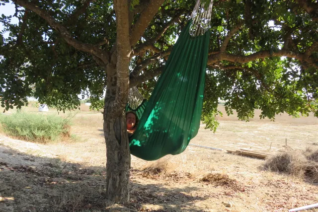 Camping VerdeVeras