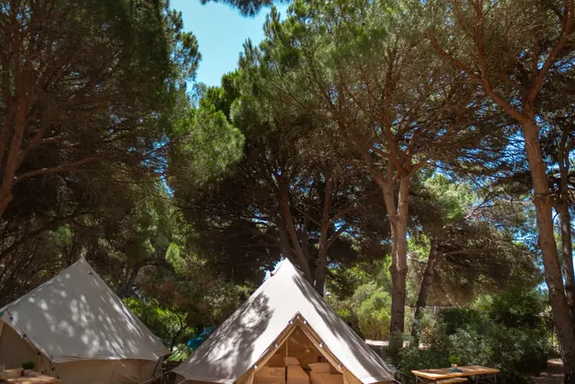 Camping Camaleón