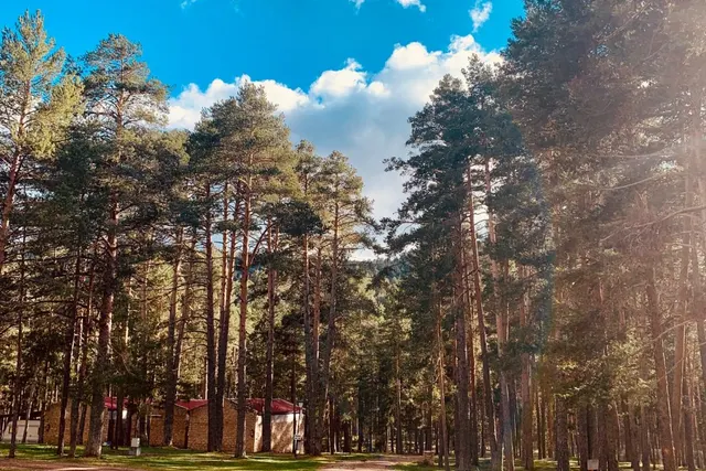 Camping Orea