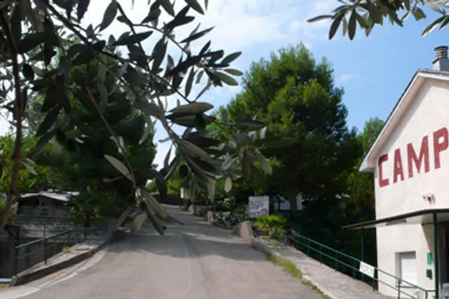 Saviñan Park