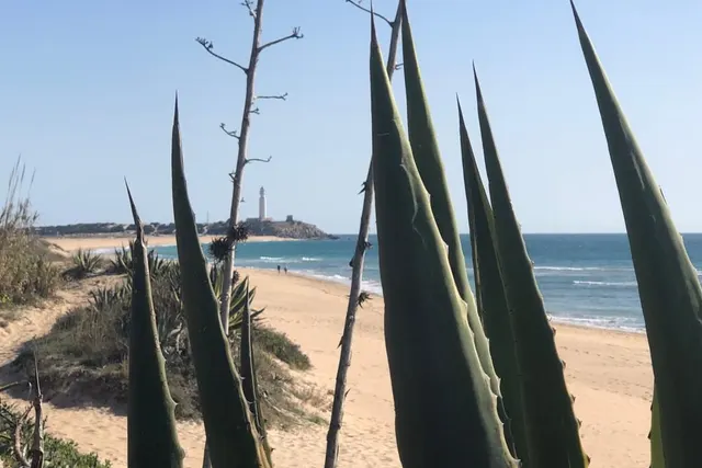 Camping Pinar San José