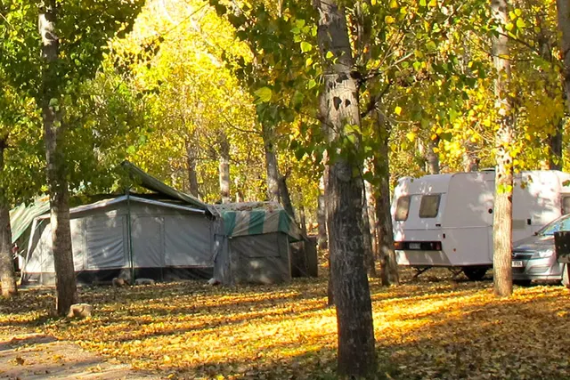 Camping Llanos de Arance