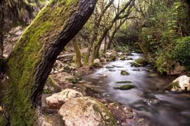 La Torrecilla