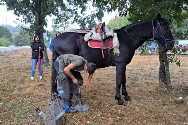 Área de Autocaravanas da Veiga