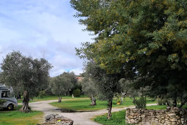 Camping Asseiceira