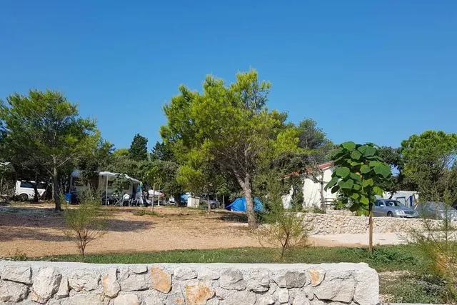 Cota