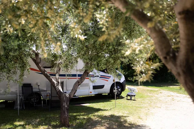 Camping Kate