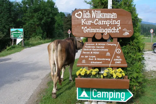 Camping & Pension Grimmingsicht