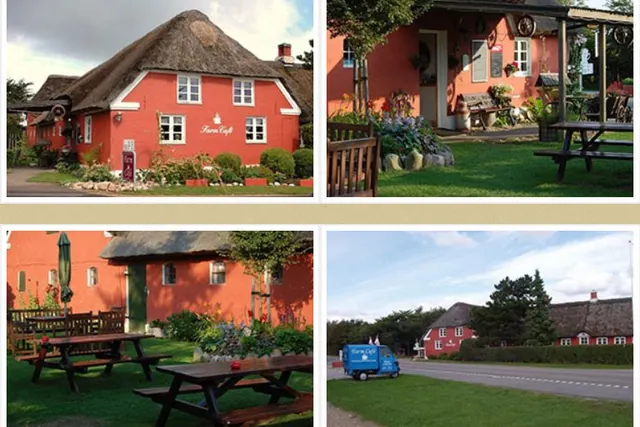 Farm Camping
