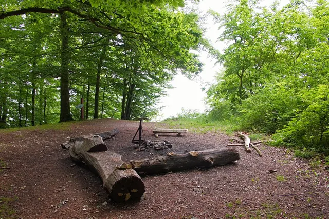 Stagsrode Skov Teltplads
