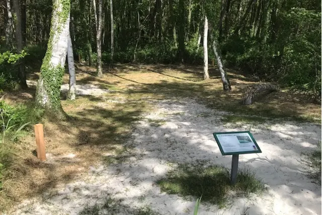 Bassebo primitive teltplads