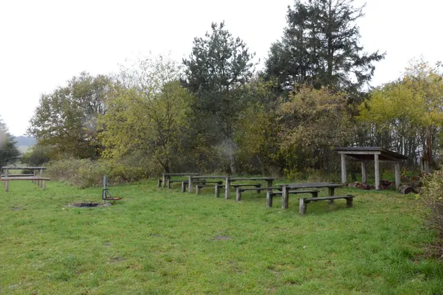 Vinderup Skov Shelterplads