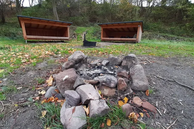Spurven og Mejsen