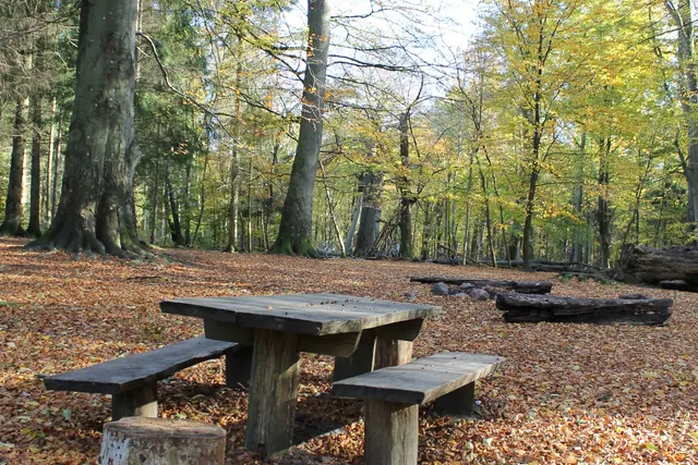 Mørkebakke lejrplads
