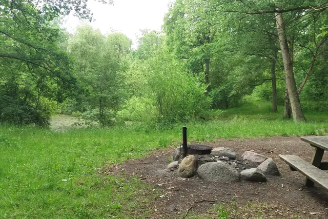Skydestedet, Kongelunden