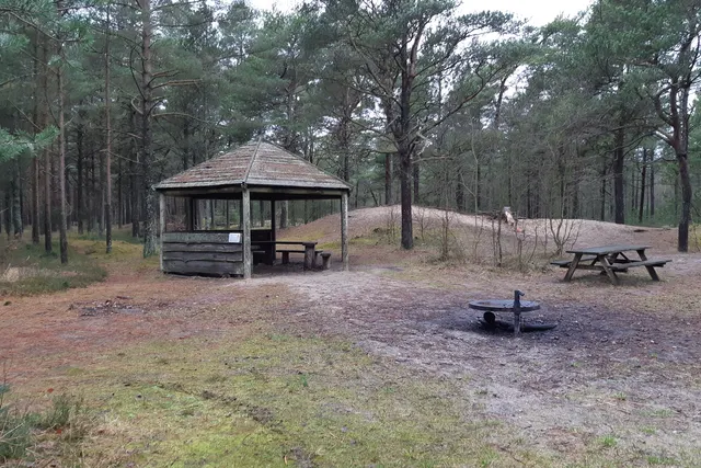 Bamsepladsen