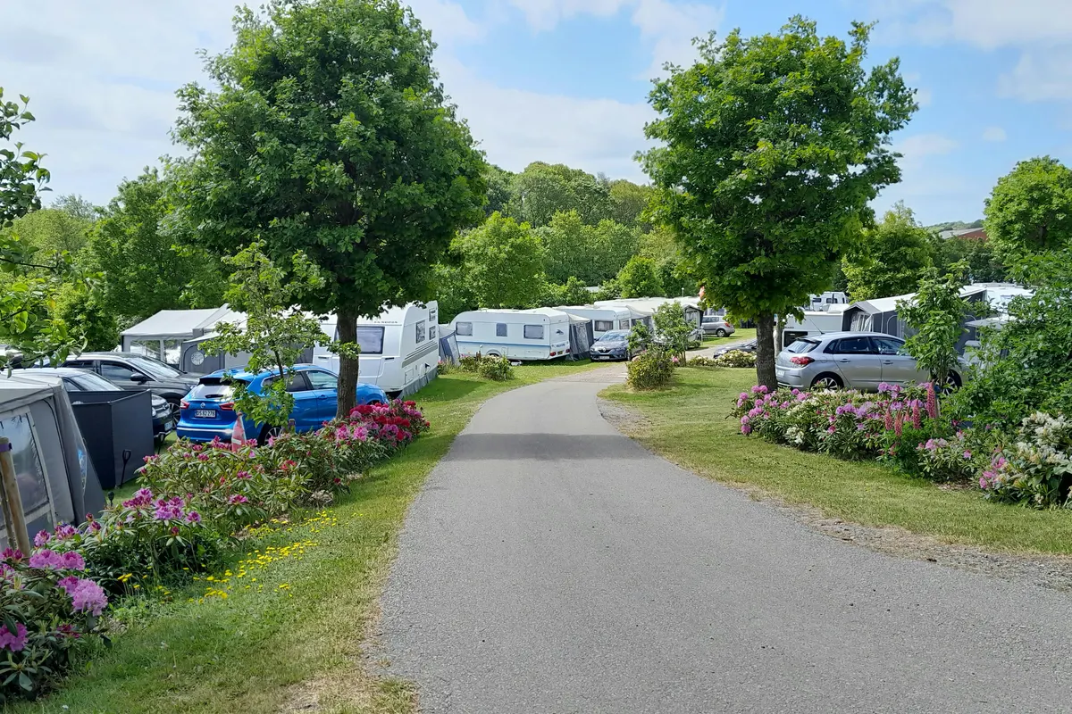 Gattenborg Camping
