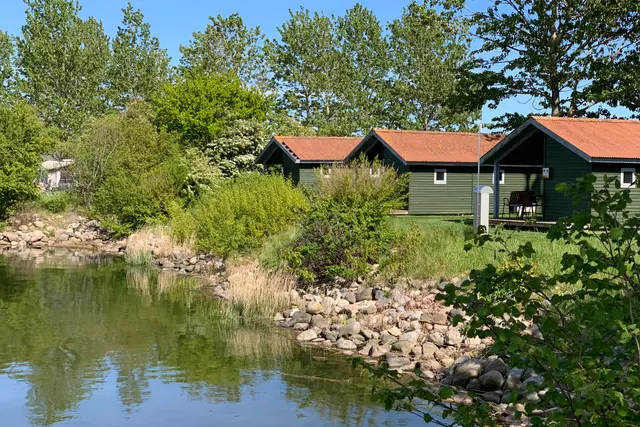 Tangloppen Camping
