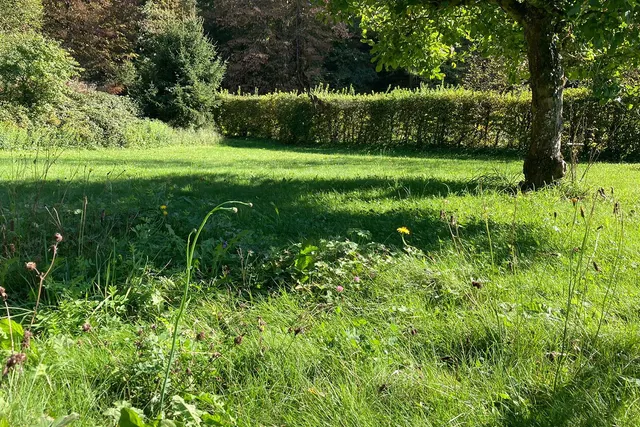 Wildenau Camping