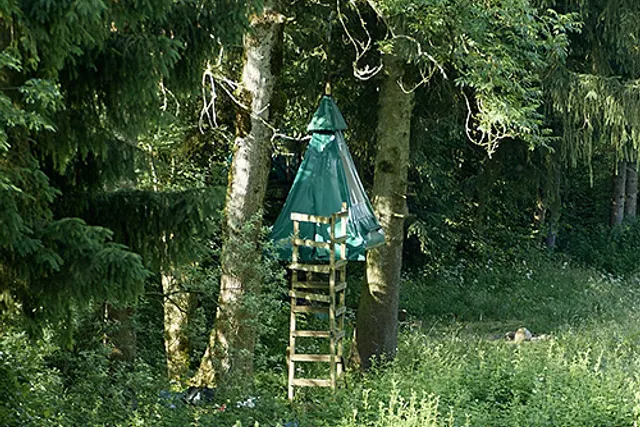 Bivouac dans les arbres
