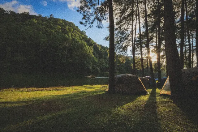 Camping Toodlermillen