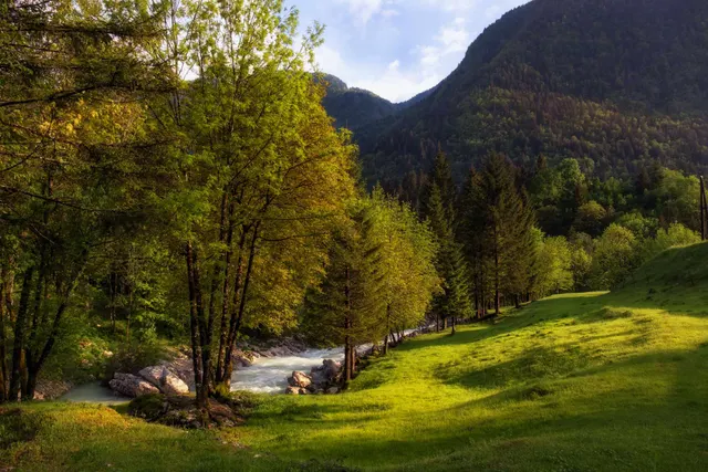 Kamp Jelinčič