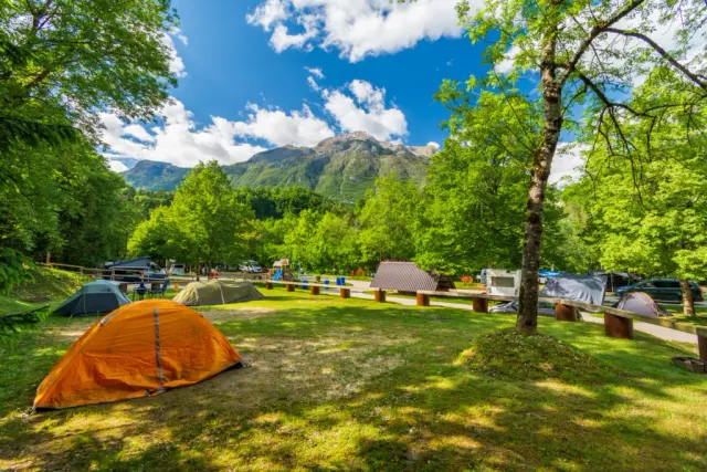 Camp Liza