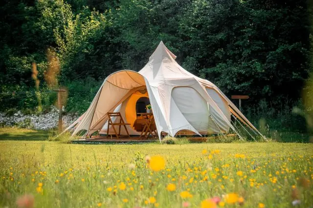 Glamping gozdna jasa
