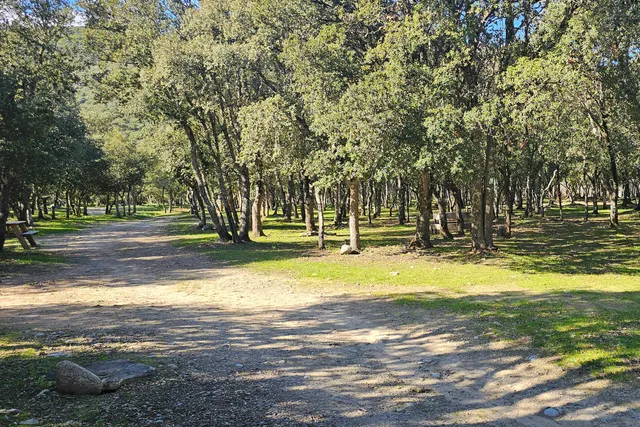 Camping Campita
