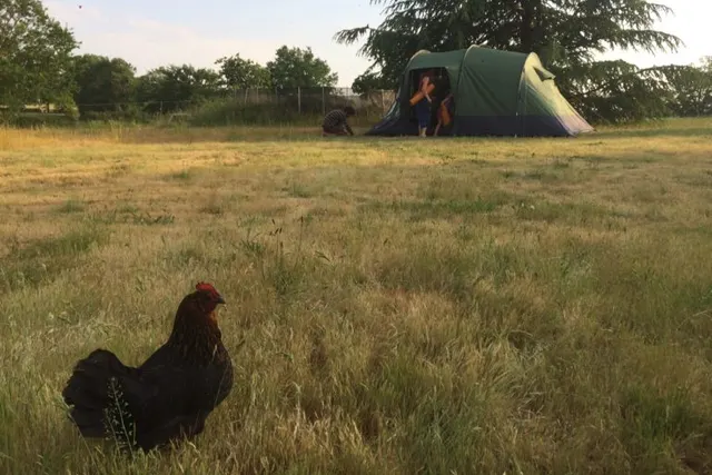Camping La Caille