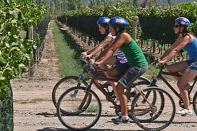 Domaine de la Conseillère
