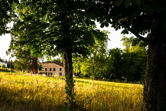 Vignoble de Champagny