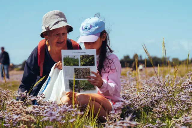 Camping La Ferme de la Tournerie