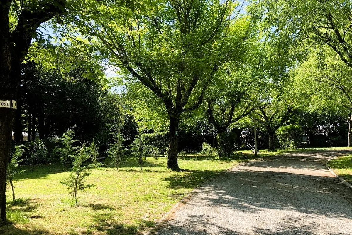 Mas de Nicolas