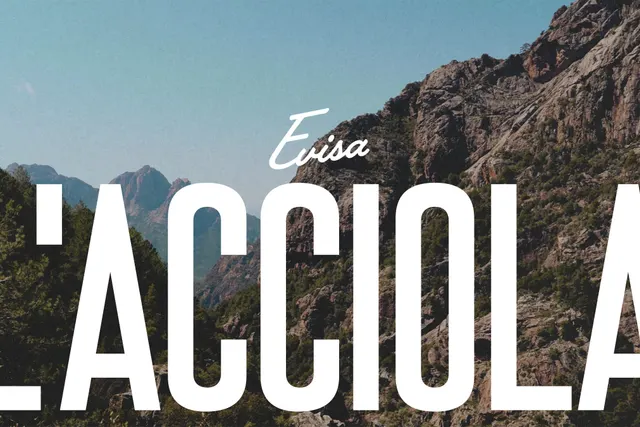 Acciola