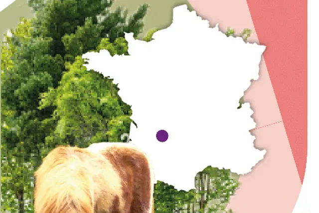 Le Lac des Charmilles
